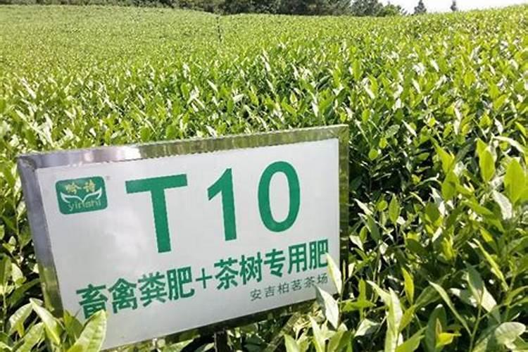 脐橙全年施肥时间表