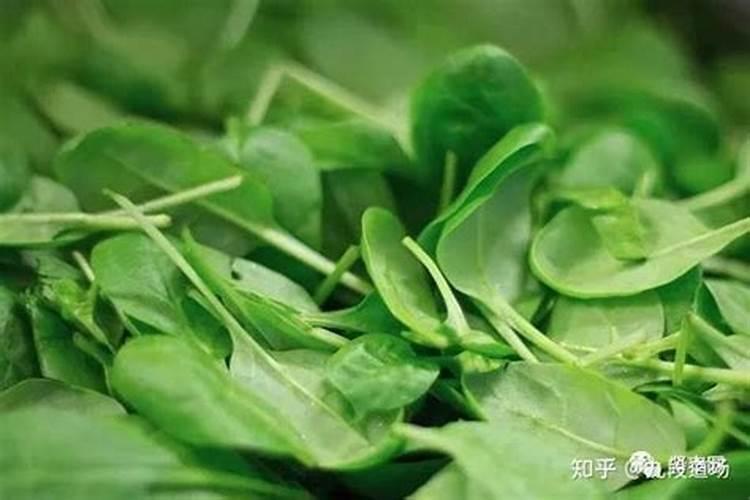 一水草酸钙是什么意思？
