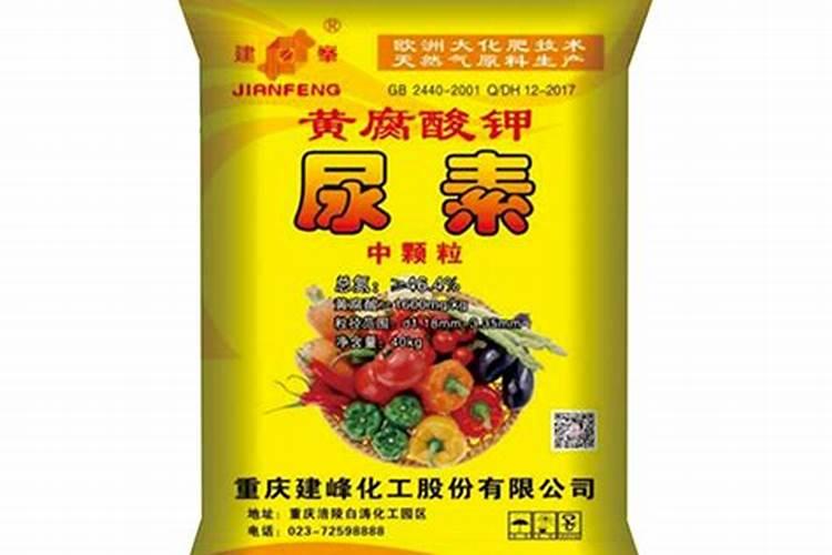 西安有哪些化工厂