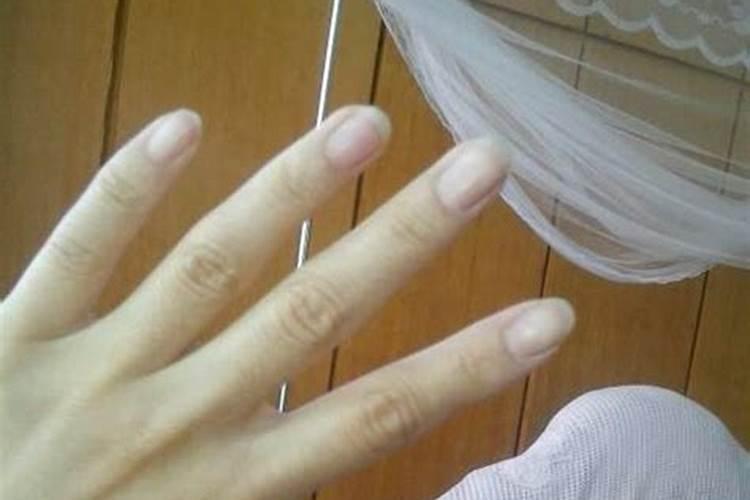 我扦插的蔷薇差不多30天了,什么时候可以移植？