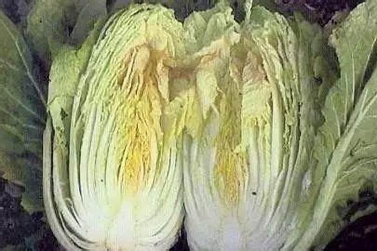 白菜干烧心能用糖醇钙吗？