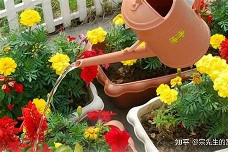什么化肥含氧高
