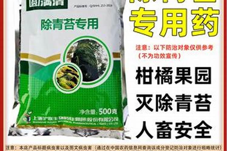 青苔用什么药快速去除