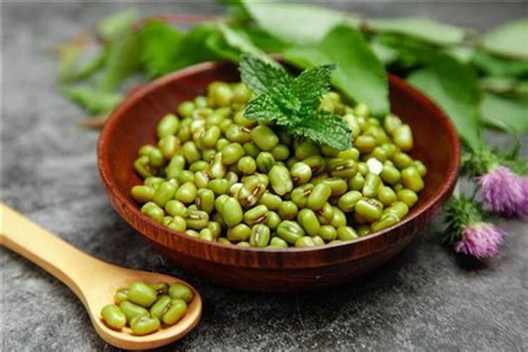 种绿豆用什么肥料好 施肥方法有哪些