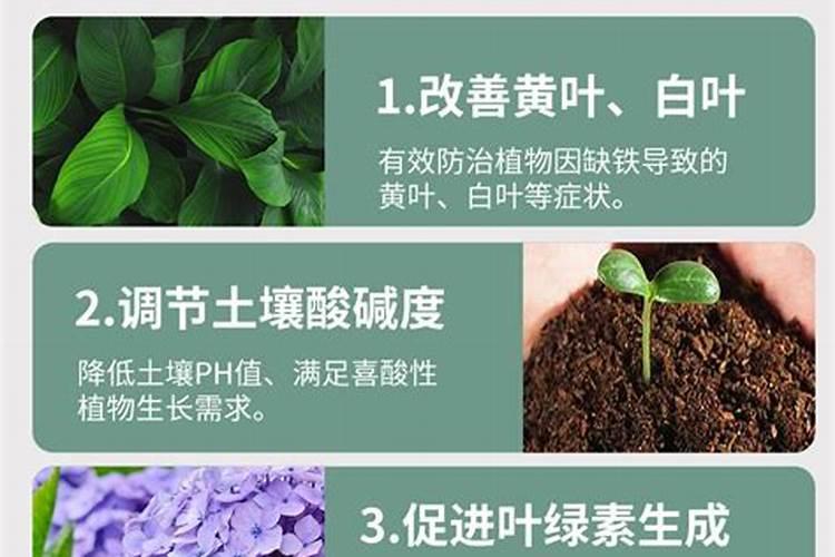 油甘果树幼果期黄叶落叶是什么原因,可以用什么药补救？