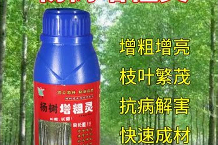 杨树用复合肥还是尿素好？