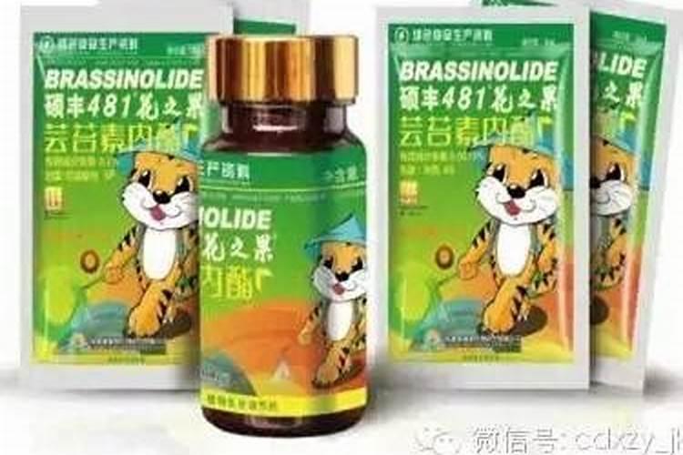 硼肥多少钱一千克
