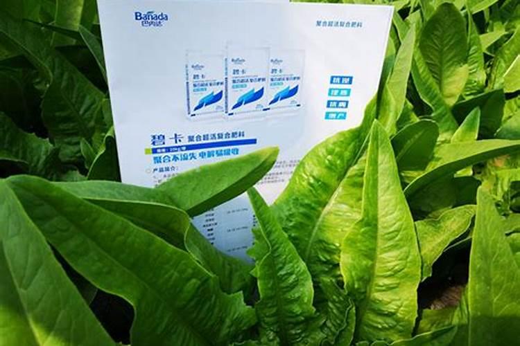 硼砂可以做肥料吗
