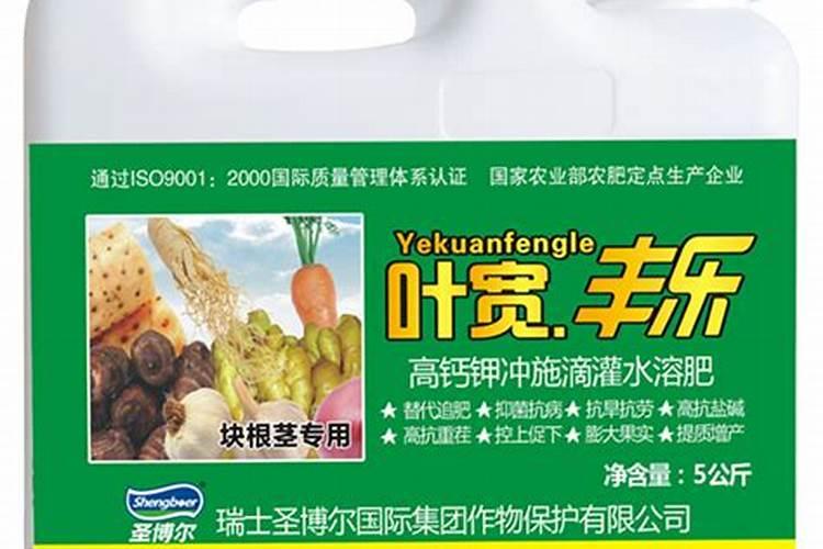 这种在绿化带里的红果果树是啥树,可以在室种吗？(附图)