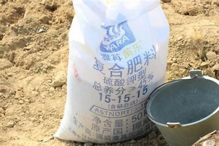 花椒坐果后要施肥吗