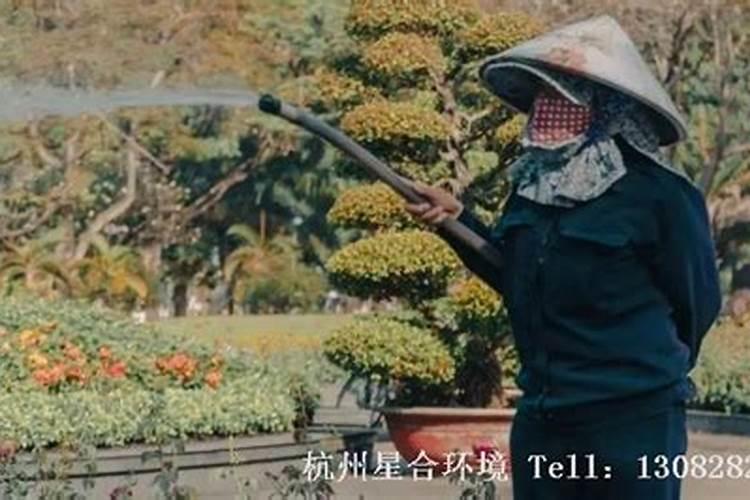 快速自制氮肥的方法