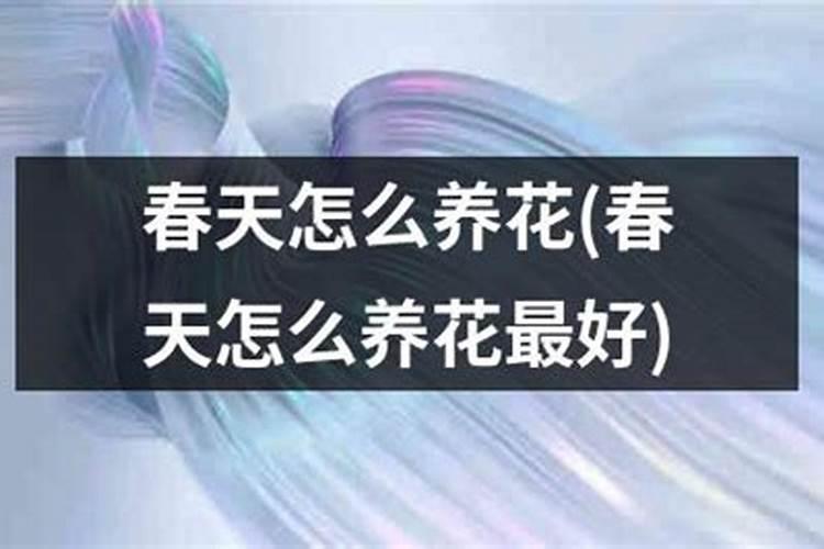 一般的蔬菜瓜果要用到什么肥料