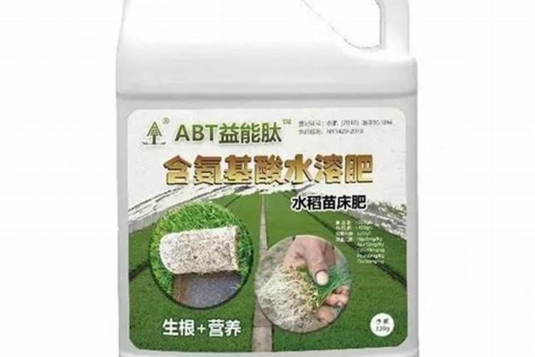 十月种什么果树容易活