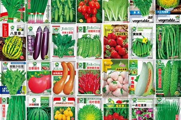 西瓜施什么肥料最甜