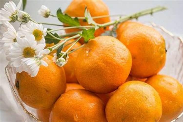 五月份可以种植什么蔬菜