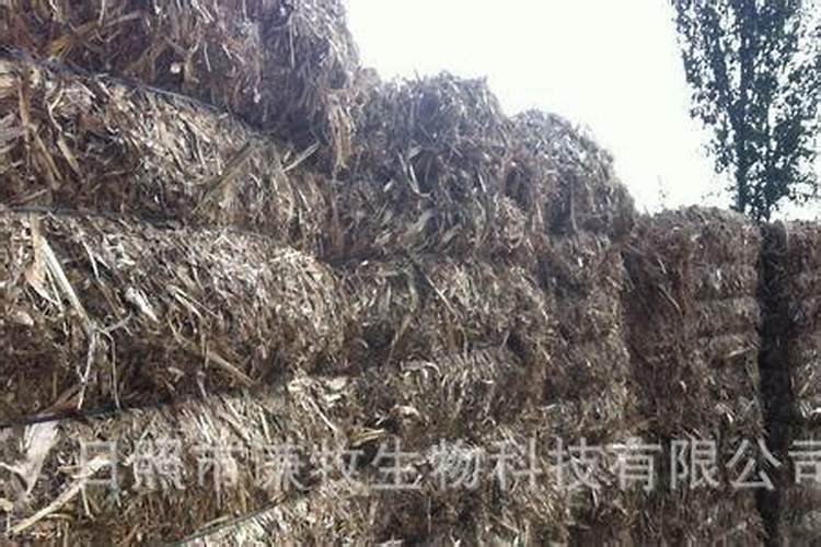 一公斤玉米秸秆焚烧可以得到多少钾肥