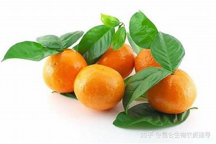 赤藓糖醇是天然甜味剂吗 赤藓糖醇作为甜味剂的优缺点有哪些