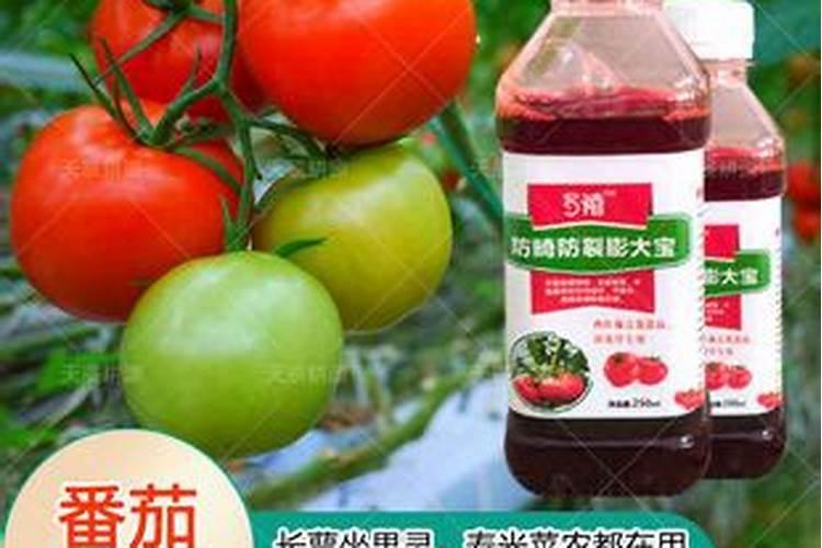 小番茄喷施什么叶面肥,生根快？