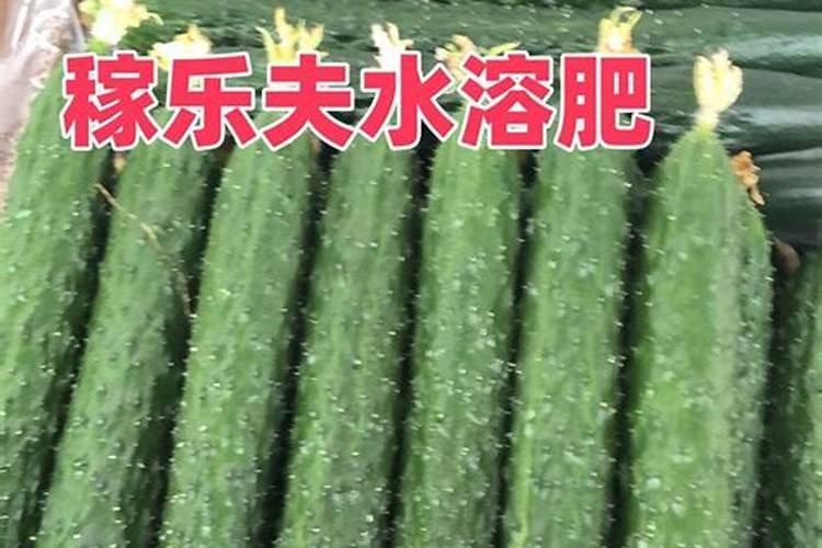柑橘泡蜜糖的做法