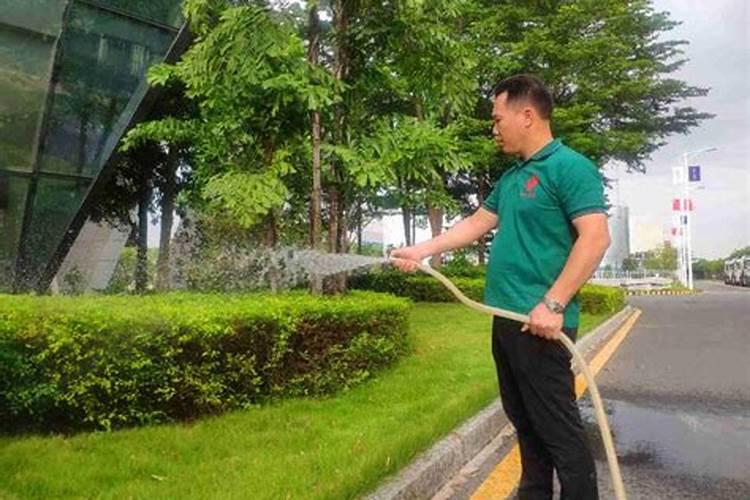 水稻种植钾肥的施用方法是什么？