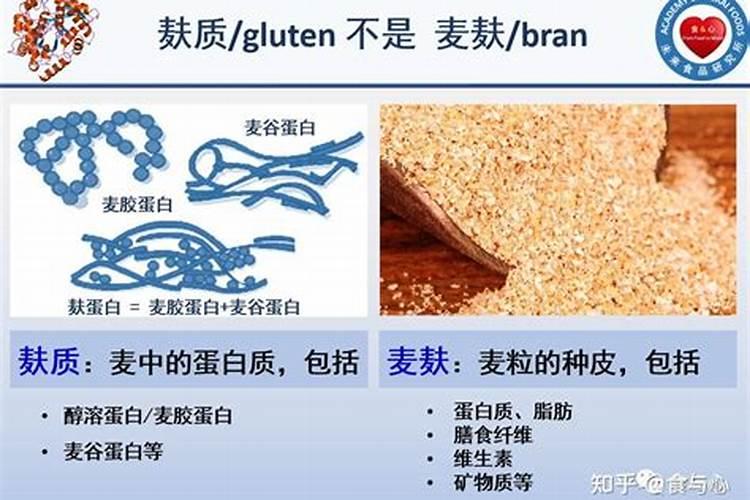 红稚莲多肉植物怎么养,如何养出老桩