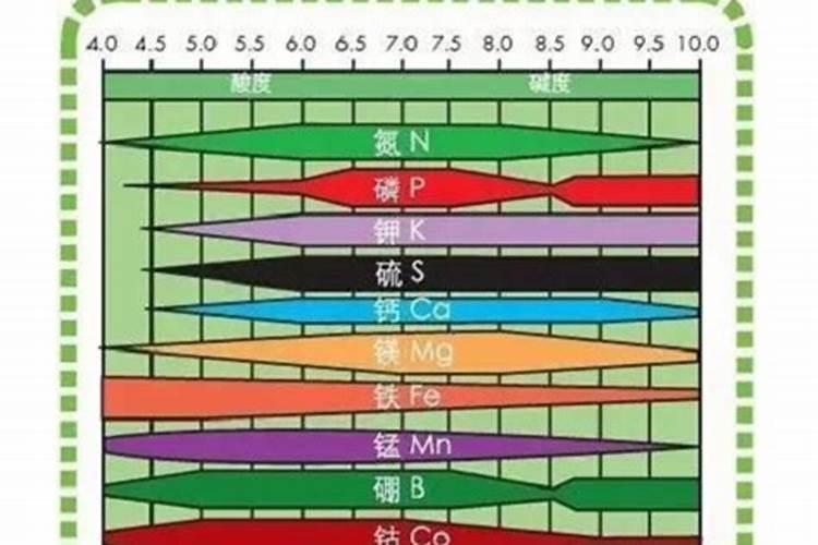 东北长春玉米用肥氮磷钾261111好还是241212好,一次性施肥？