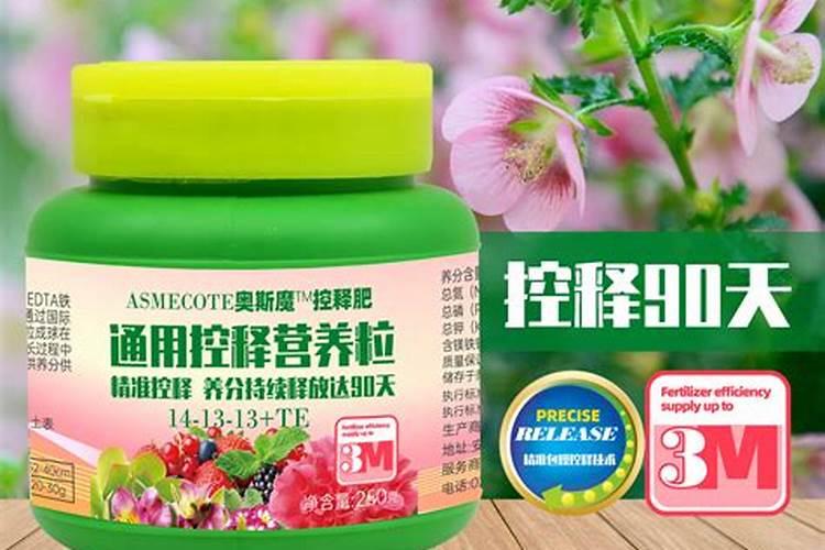 桂花鱼养殖中怎样使用杀虫药和肖毒药