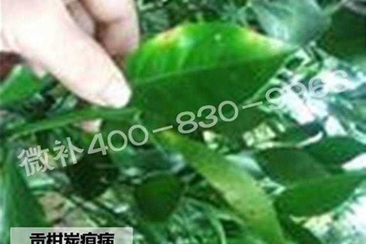 盐湖股份属于什么板块