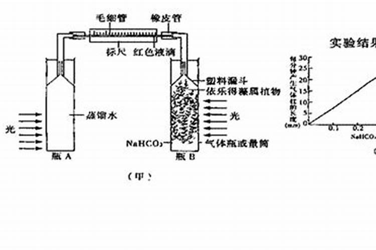 种植蔬菜时小苏打真的可以当农药使用吗？为什么？