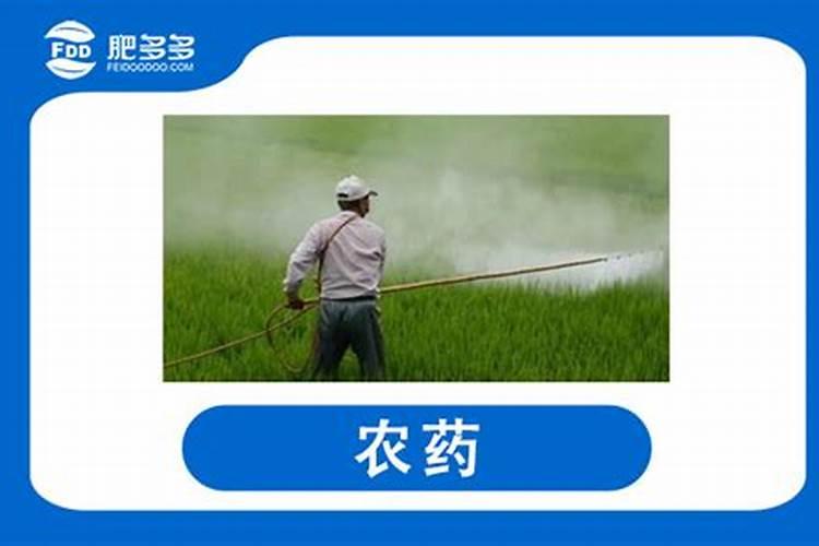 水溶肥是什么肥料,水溶肥怎么用效果好,注意事项