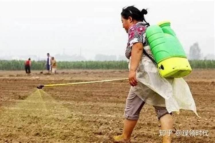 马蹄叶淡黄施什么肥