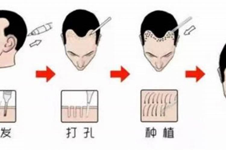 滴灌施用水溶肥时怎样才能起到最好的效果