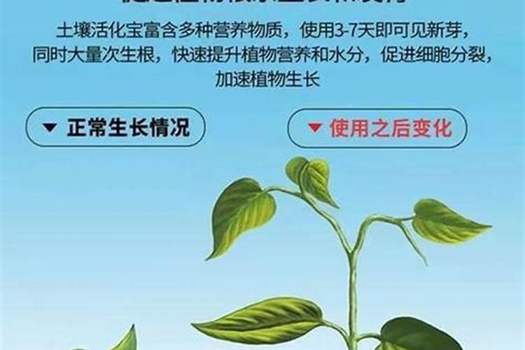 头发可以当肥料吗？