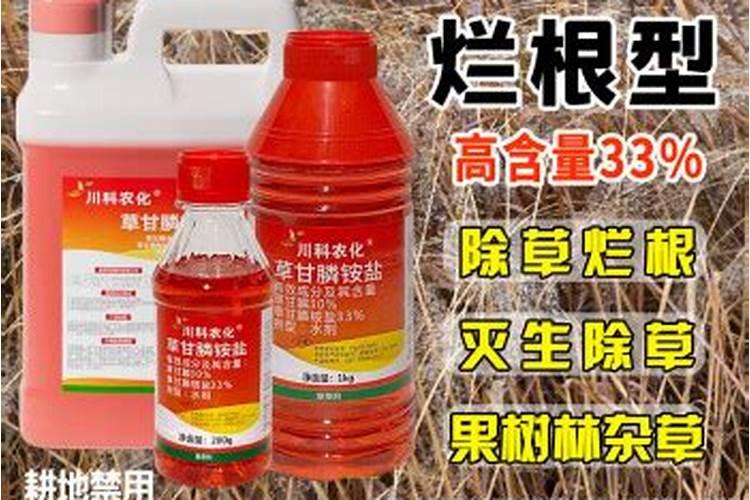 草甘膦喷到桑苗有影响吗？桑苗现在有小叶片了