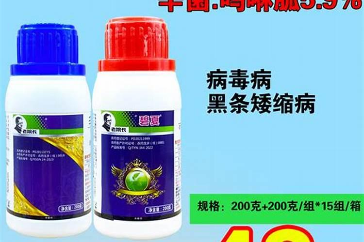 磷酸二氢钾这几个神奇搭配,生根养根又壮苗,效果出乎想象