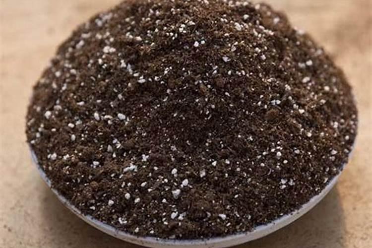 大樱桃树使用黄腐酸钾上基肥可以吗？