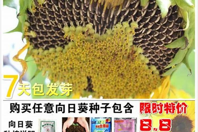 水溶肥是一种新型的肥料,这种肥料比较适合什么农作物？