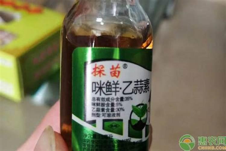 蓝莓施肥的最佳时间是什么时候