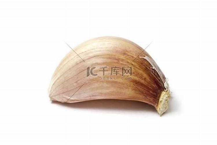 红蒜种植离不开肥料,红蒜对肥料需求是怎么样的？