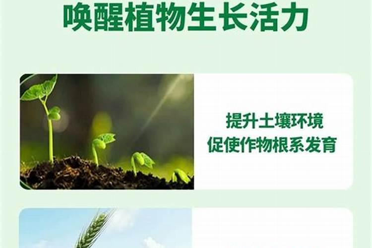 水溶肥使用时注意事项、方法与用量？