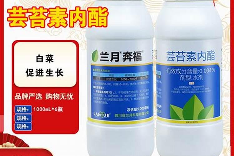 小麦喷芸苔素内酯能救活野燕麦吗？