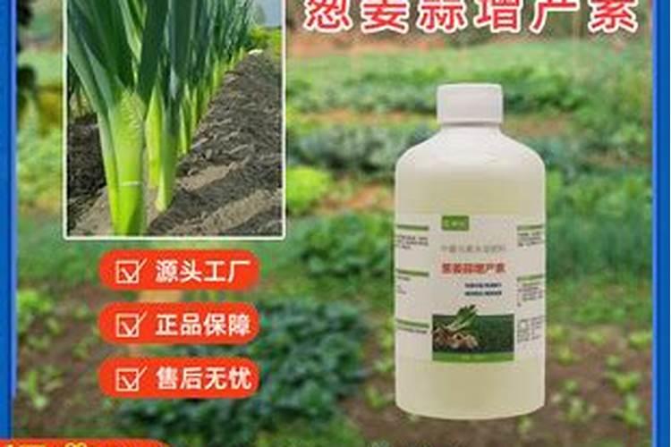 大葱用什么杀菌剂和叶面肥好