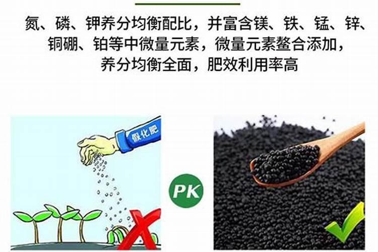 铁树用什么肥料比较好 铁树施什么肥生长快速更茂盛
