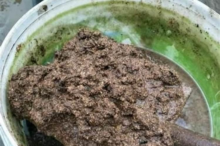 氮肥不兑水,直接埋土里行吗