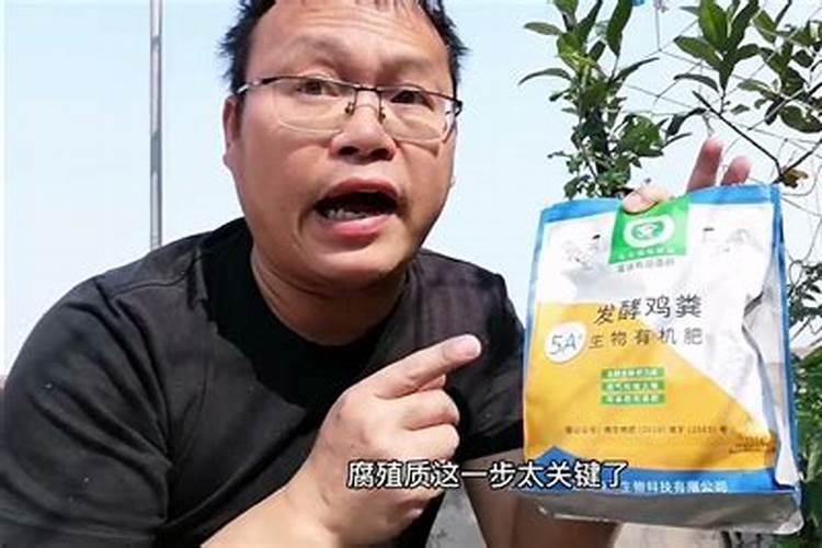 花生烂根死苗怎么治