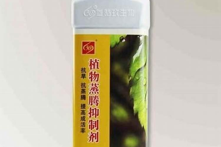 小麦打什么叶面肥增产