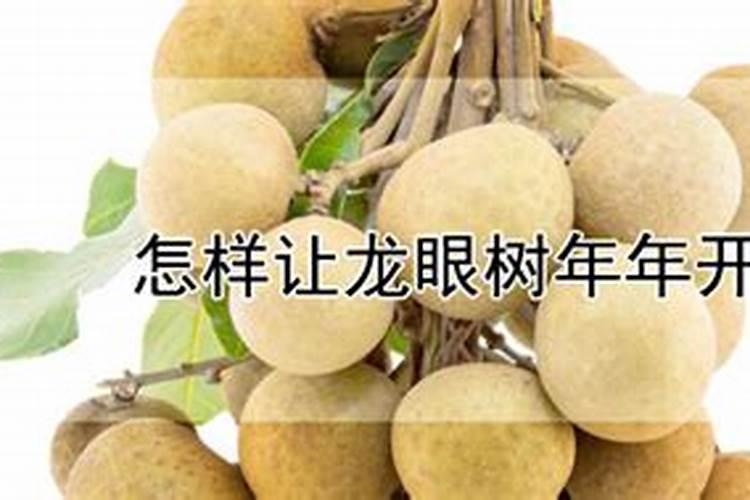 桔子树怎样浇水