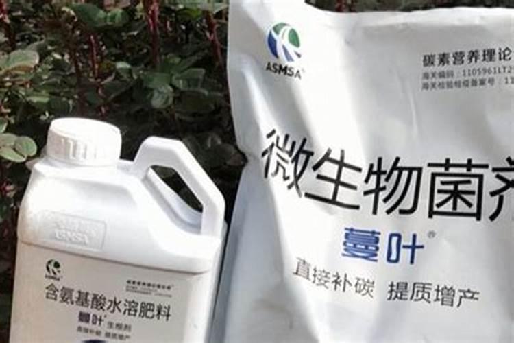 请问什麼态的氮肥利於植物？铵跟氨跟胺,有甚麼差别