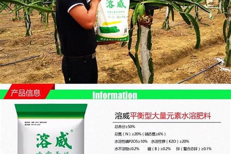 尿素可以水溶后施肥吗 尿素能水溶后施肥吗