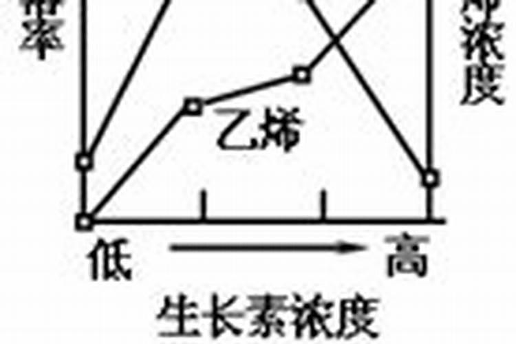 小麦叶面肥什么时候用好